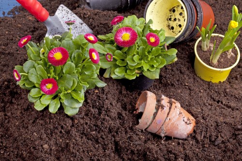 Front yard landscaping in Belmont with neat garden beds and lawn