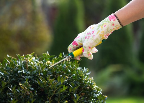 Gardeners Belmont statement on preventing modern slavery and protecting human rights