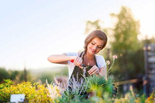 Safe tree lopping services for overgrown trees in Belmont