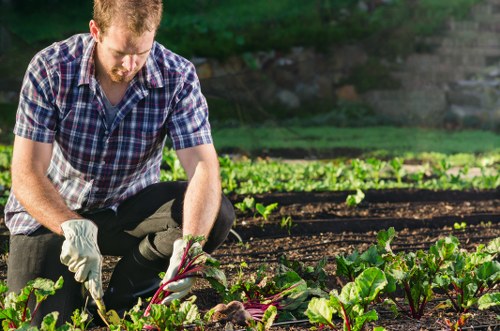 Gardeners Belmont using sustainable recycling methods for green waste
