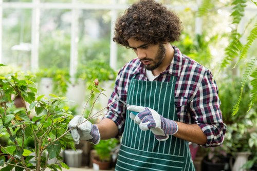Professional gardening services in Belmont for a neat and healthy garden