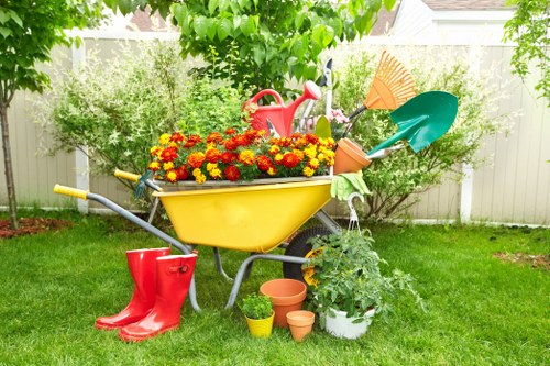 Clean and tidy Belmont outdoor space after garden maintenance