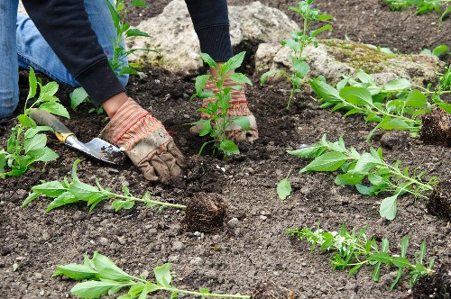 Booking process for Belmont gardeners and customer responsibilities