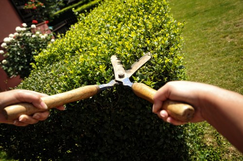 Professional garden maintenance in Belmont with neat landscaping