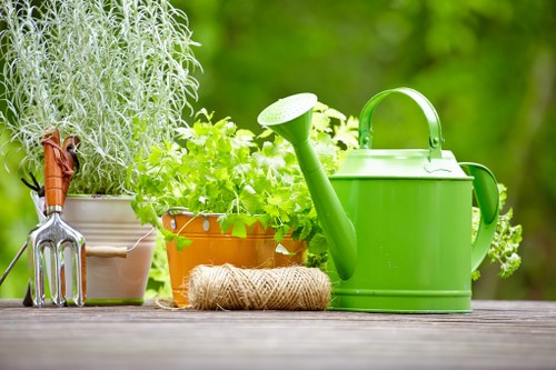 Backyard Belmont garden with seating area and soft planting