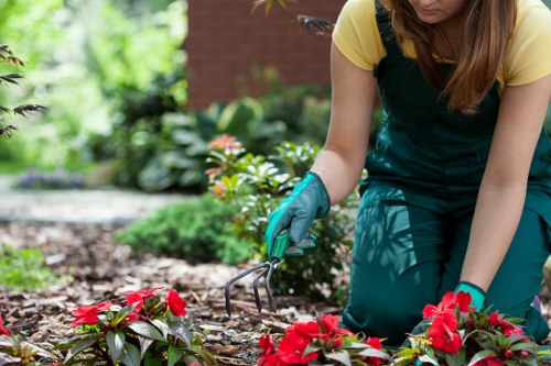 Edging and mowing details on a Belmont lawn