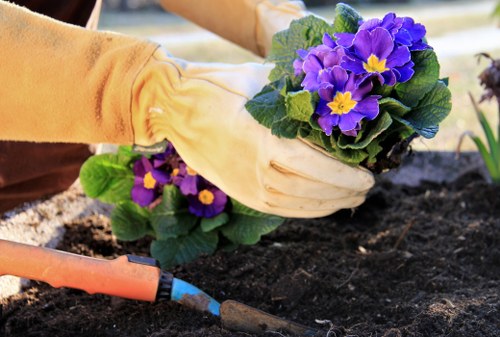 Staff wearing PPE during professional garden work in Belmont