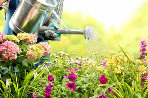 Belmont gardeners restoring and shaping an outdoor space