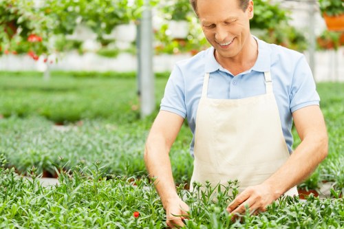Commercial landscaping and gardening services in Belmont