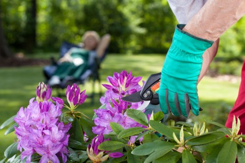 Low-maintenance landscaping in Belmont with mulch and shrubs