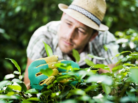 Payment and cancellation terms for garden maintenance services