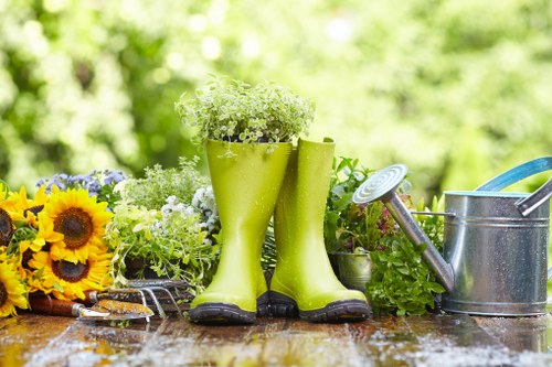 Fertilizing turf to improve lawn health in Belmont