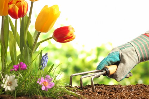 Professional garden clearance in Belmont preparing an outdoor space