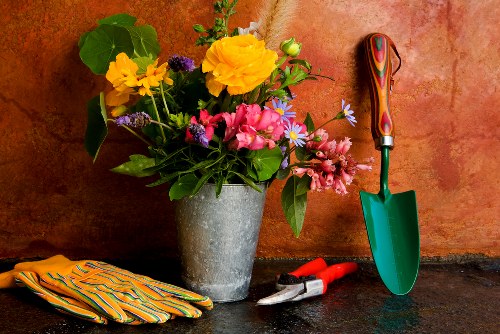 Free quote policy for Belmont garden services