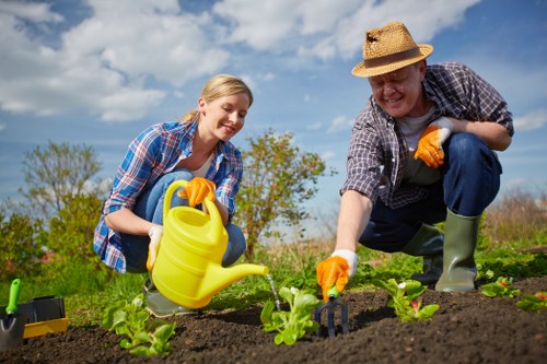 Healthy Belmont garden beds with thoughtful planting and structure