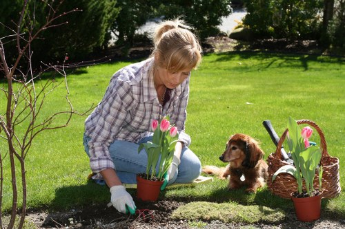 Annual review of the modern slavery statement for Belmont gardening specialists