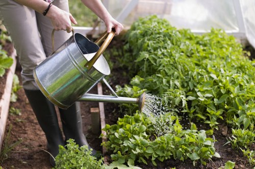 Belmont gardening estimate for hedge trimming and waste removal