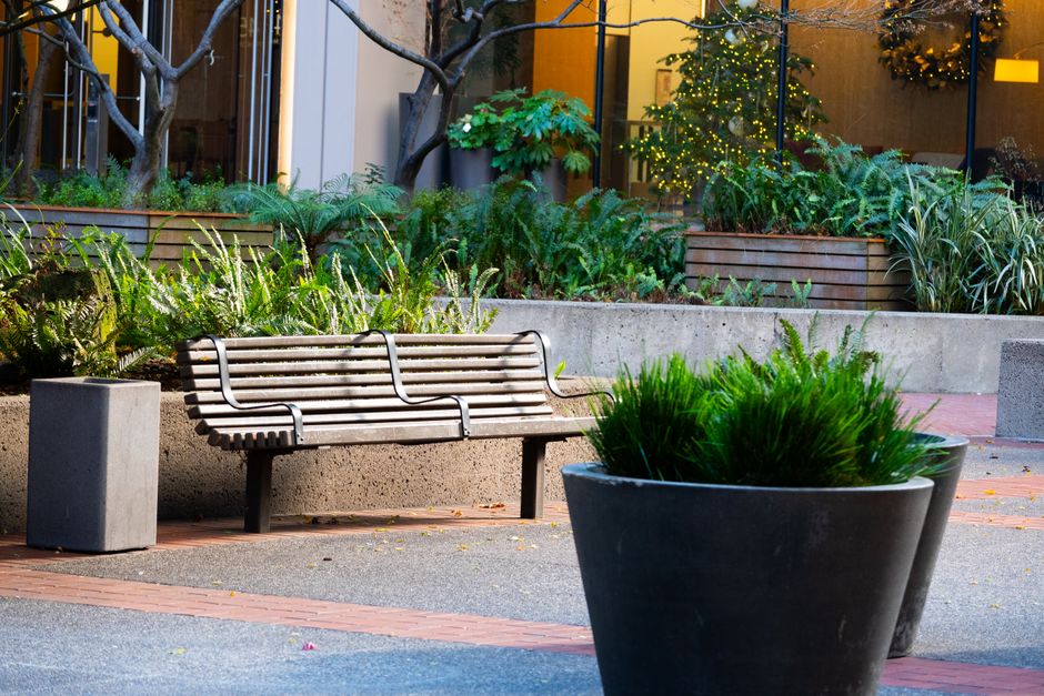 A landscaped urban garden area with a wooden bench positioned on a paved surface, accompanied by a modern square concrete planter on its left containing no visible plants. In the foreground, two large